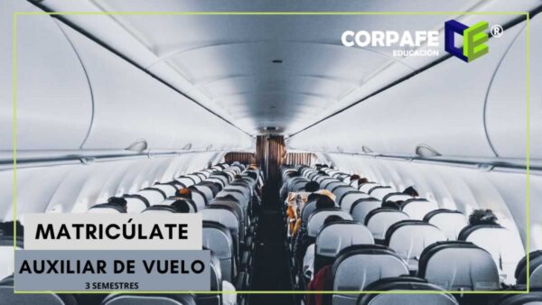 Auxiliar de Vuelo