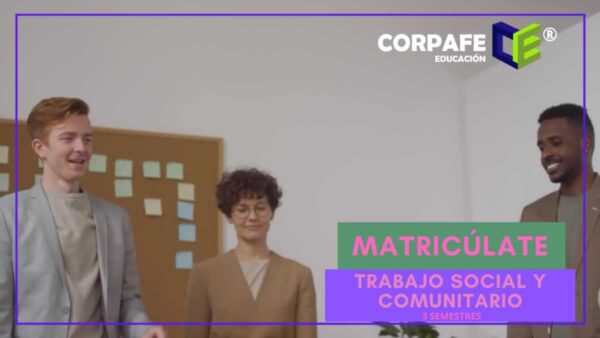 Técnico en Trabajo Social y Comunitario