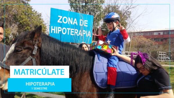 Hipoterapia
