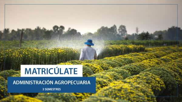 Administración agropecuaria